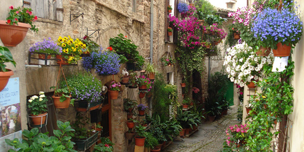 Spello, Umbria